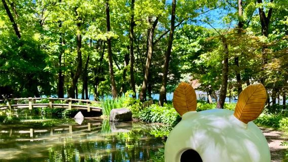 Güney Kore Seul şehir merkezi ile Nami Adası arasında turistik otobüs seferleri