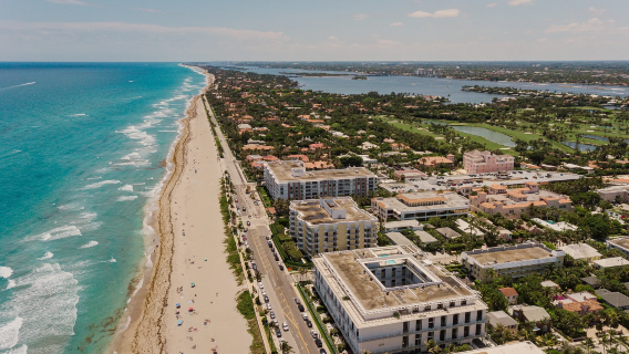Miami | Fort Lauderdale + Kerajaan Hidupan Liar Singa + Palm Beach [Tiket Masuk Tidak Termasuk]