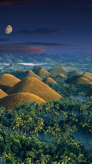 1-day land tour in Bohol Island - Chocolate Hills and tarsier watching - Chinese-speaking and English-speaking guides