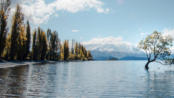 New Zealand South Island West Coast panoramic sightseeing bus tour: Wanaka - Franz Josef Glacier & Wanaka - Fox Glacier