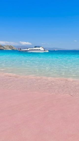 ทัวร์ 1 วันเกาะโคโมโด ไม่รวมตั๋วเข้า [หาดทรายสีชมพู|เหยี่ยวโคโมโด|พระอาทิตย์ตกกับค้างคาว|ดำน้ำตื้น]