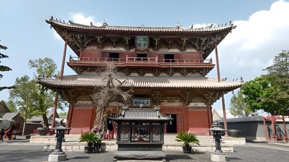 Privat dagstur med chauffør i Tianjin til Dule-templet og Xijingyu kultur- og kunstcenter