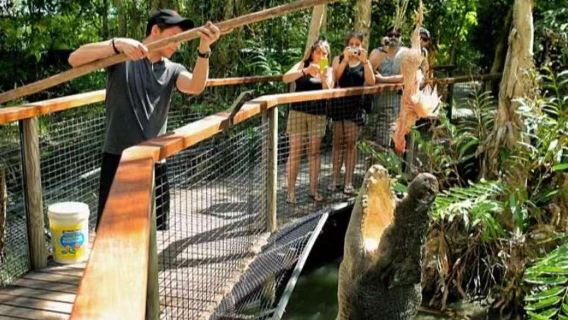 Australia Cairns Taman Buaya Hartley + Palm Cove Sewaan peribadi berbahasa Cina & perjalanan boleh disesuaikan