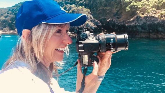 From Tauranga: Dolphin & Wildlife Cruise