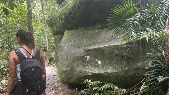 Mackay: Finch Hatton Gorge Hike, Swim & Platypus Adventure