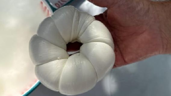 Sorrento: Mozzarella experience. Say cheese with us!