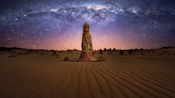 Turun Matahari dan Pengamatan Bintang di Pinnacles Perth + Tur Taman Nasional Yanchep (Termasuk Makan Malam & Antar Jemput)