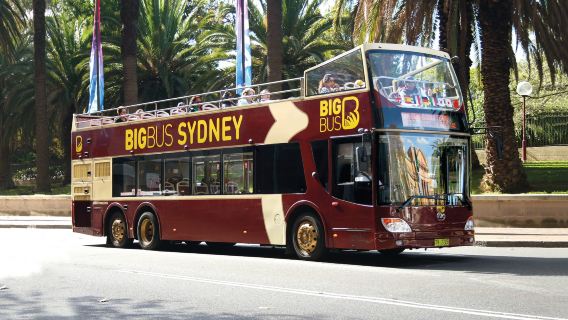 PictonTransport