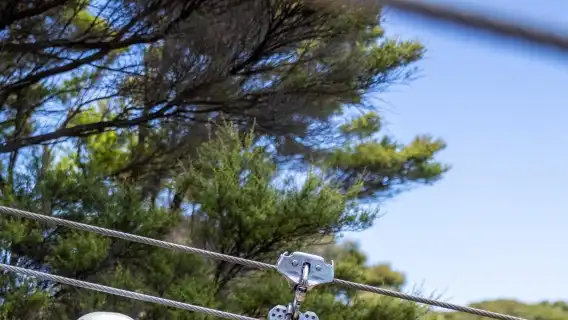 ทัวร์ผจญภัยซิปไลน์ในป่าที่เกาะไวเฮเกะ เมืองโอ๊คแลนด์ ประเทศนิวซีแลนด์ 12705