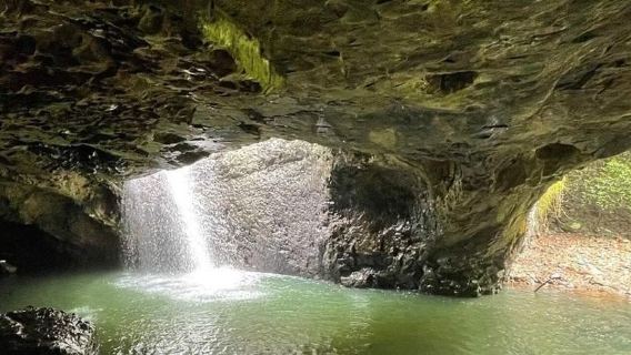 Springbrook