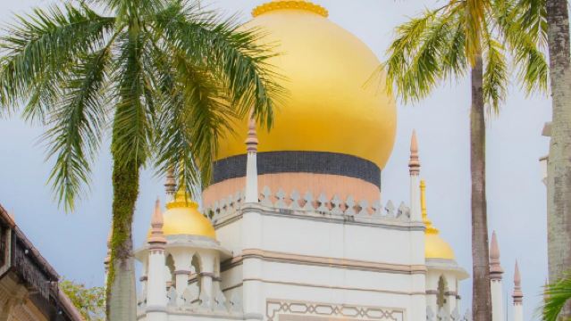 シンガポール・カンポン・グラム + ハジ・レーン + サルタン・モスク + マーライオン日帰りツアー（中国語と英語のサービス付き）