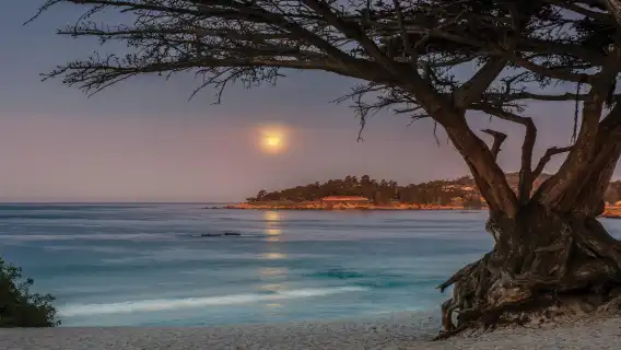 舊金山醉美遊蒙特雷17裡灣+卡梅爾海灘+舊碼頭+1號公路