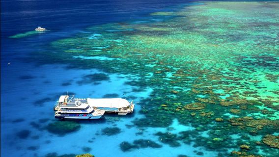 CairnsTours