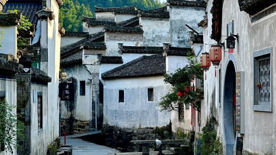 황산 + 홍촌 어트랙션+ 시디 풍경구 + 난핑 어트랙션 일일 투어(영어 및 중국어 서비스 제공)|맞춤형 개인 차량 투어