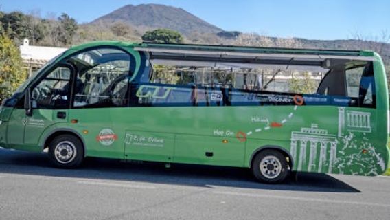 Vesuvio Panoramic Open Bus Tour from Herculaneum