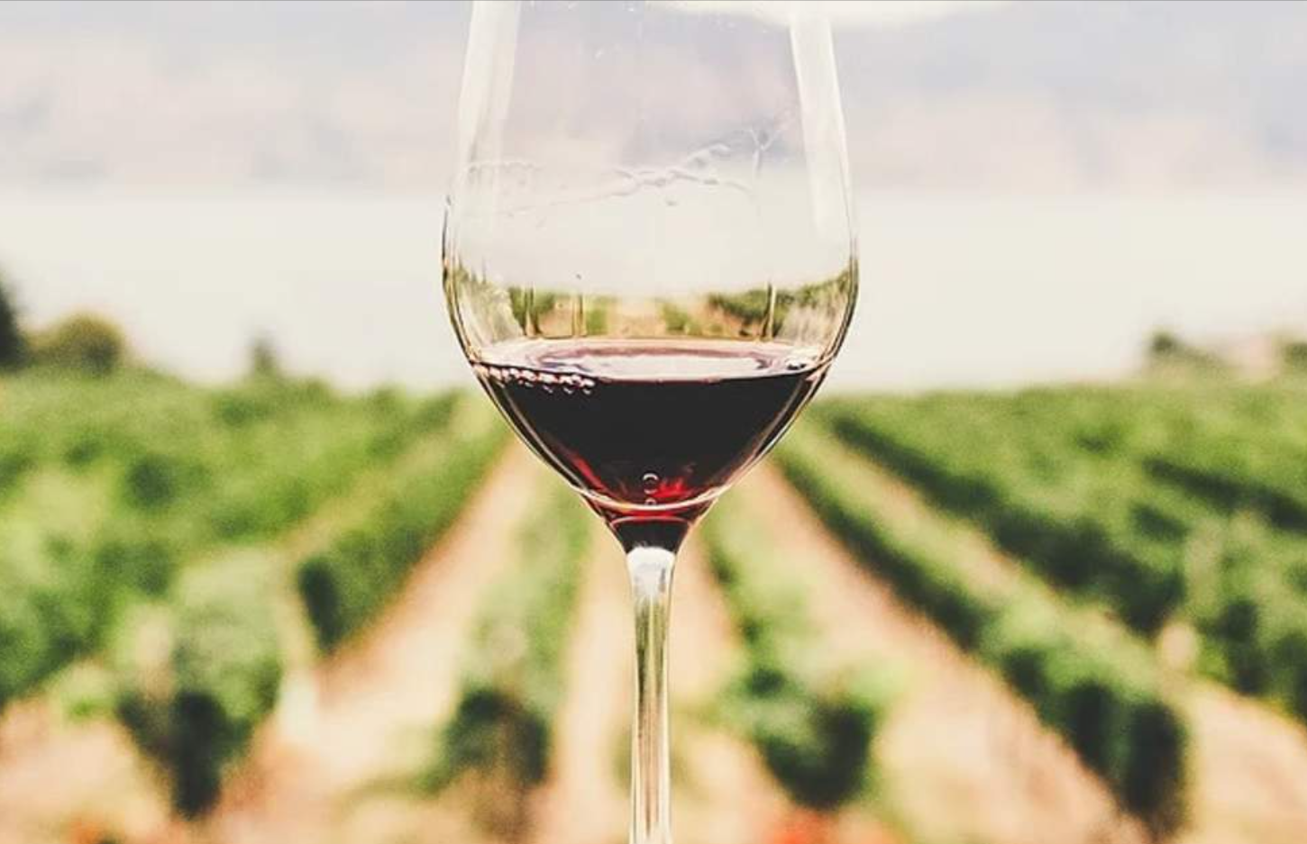 澳洲亞拉河谷一日遊：著名酒莊+美食，美酒和野生動物的特色體驗