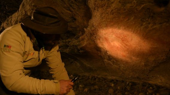 El Calafate: 4x4 Half-Day Guided Tour + Roundtrip Transfer