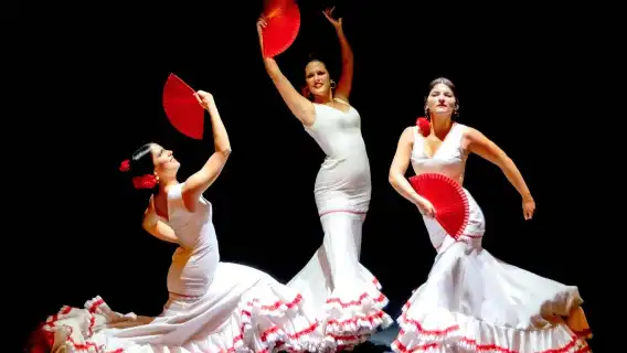 Alsa Seville: 48-Hr Hop-on Hop-off Bus, Walking Tour, Cruise + Flamenco Show