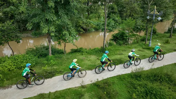 Siem Reap: Bike Day Trip + Theam's Gallery Entry Ticket