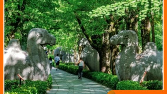 南京日遊
