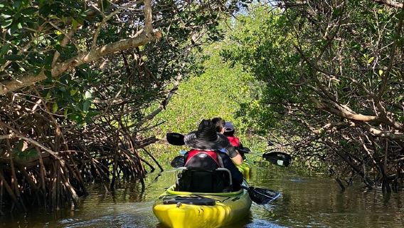 Cocoa BeachExperiences