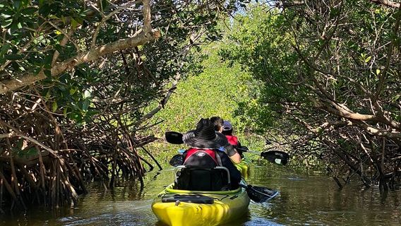 Cocoa BeachExperiences