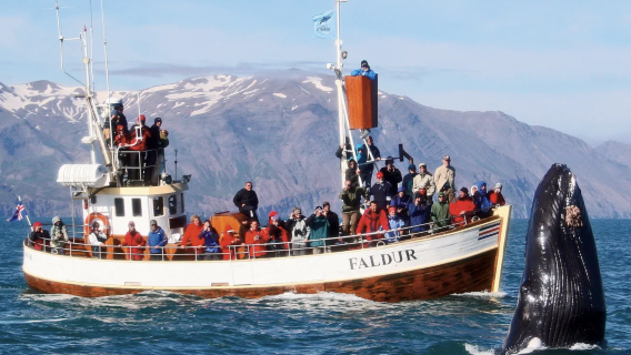 Husavik