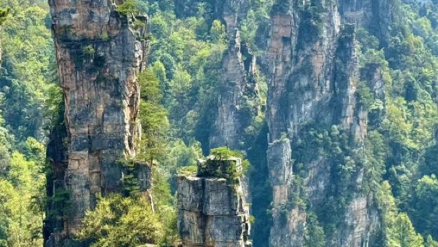 Zhangjiajie 1-day tour: Forest Park / Baofeng Lake / Grand Canyon Forest Oxygen Tour