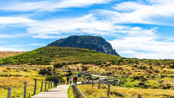 Excursion d'une journée originale de l'UNESCO à Jeju - Mont Halla au sud-ouest