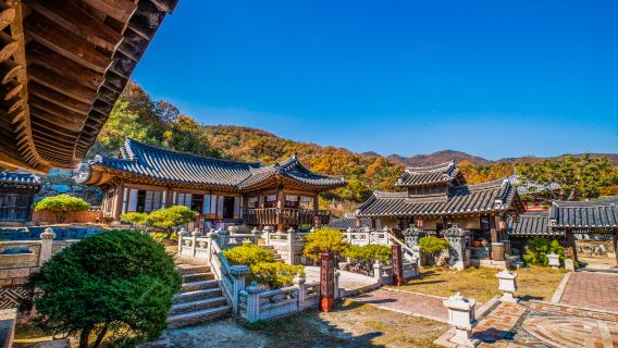 BTS Bangtan Boys Group Amy Pilgrimage Korea Seoul Star Chasing one-day tour(Same as Idols)