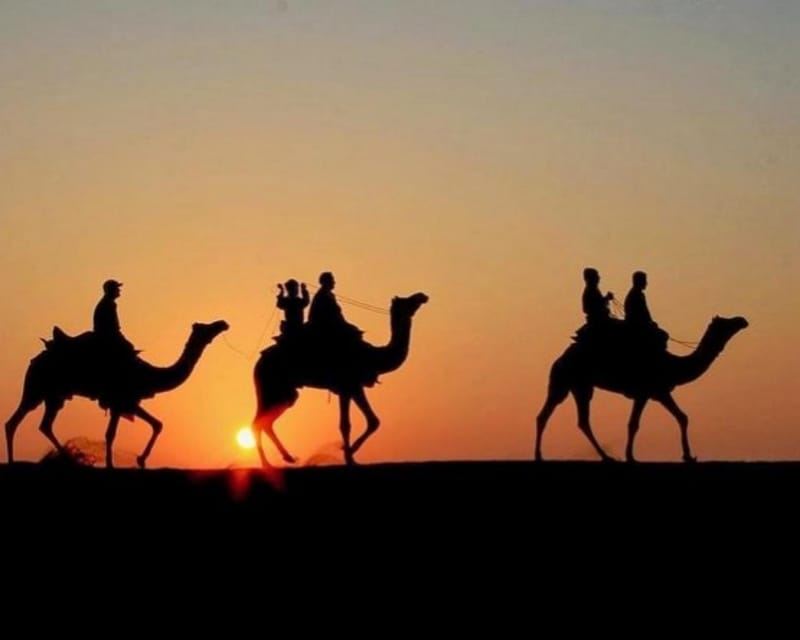 Marrakech: Agafay Desert Camel Rides, Dinner and Fire Show