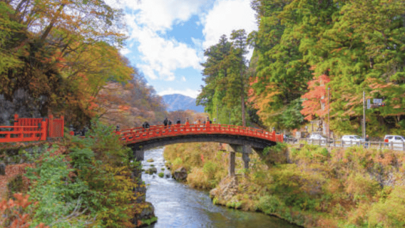 Nikko Private Custom Tour with Local Guide
