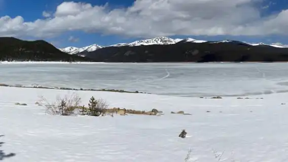 Leadville: Turquoise Lake 3-Hour E-Bike Tour