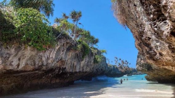 ZANZIBAR: visite de la forêt de Jozani, du centre des papillons et de la plage de Mtende