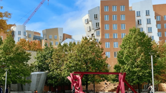 Cambridge: MIT Guided Walking Tour with Student Guide