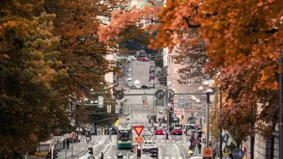 Book after inquiry/Finland Helsinki Rock Church Uspenski Orthodox Church Sibelius Park/Airport/Point-to-point car service/Tour guide and driver/Private car service