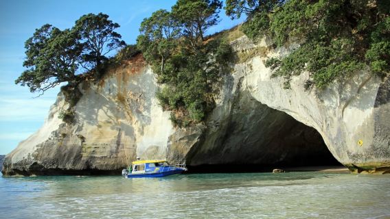 Coromandel