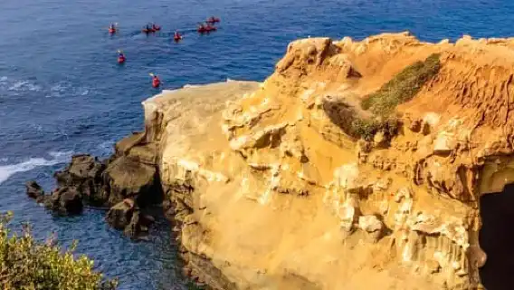 La Jolla: Full-Day Snorkel Gear Rental with Wetsuit Option