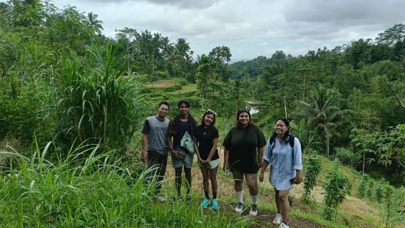 Lombok: tour a piedi di Tetebatu con la foresta delle scimmie e la cascata