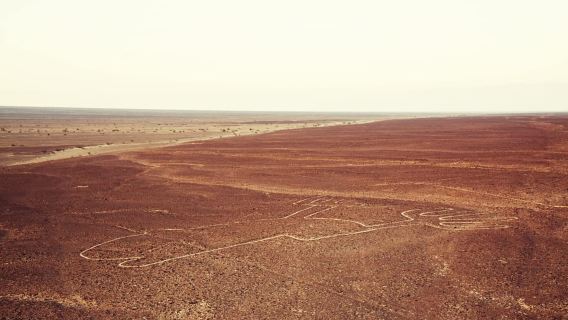 Desde Lima: Sobrevuela los enigmáticos geoglifos de Nazca