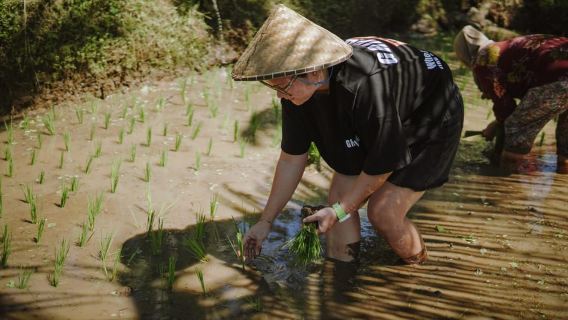 Lombok: Tetebatu Walk, Air Terjun, Hutan Monyet & Memasak