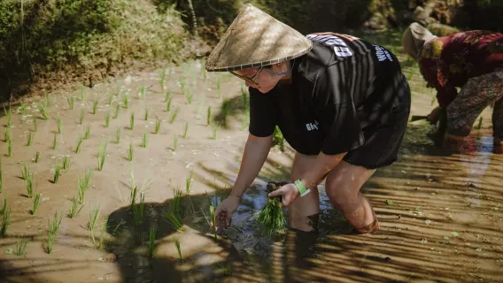 龍目島：Tetebatu 步道、瀑布、猴子森林和烹飪
