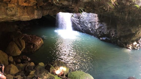 布里斯班：春溪和坦伯林山螢火蟲和天空步道
