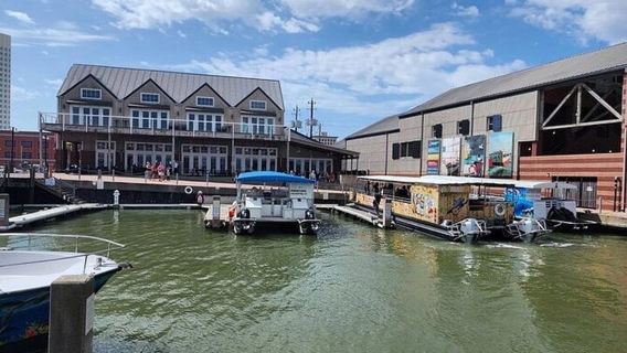 Galveston: Tour du thuyền ngắm cá heo ở Vịnh Galveston