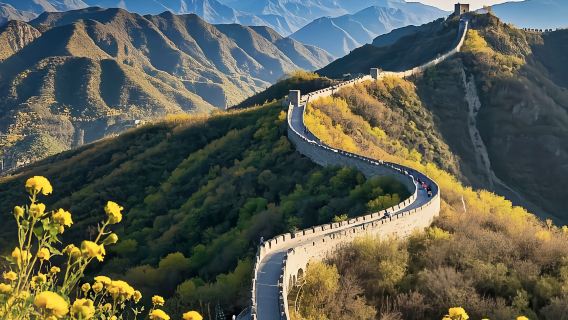 excursión de un día a la Gran servicio de coche privado con conductor de Pekín (disponibles en chino e inglés) con servicio personalizado (visita opcional a la Gran Muralla)