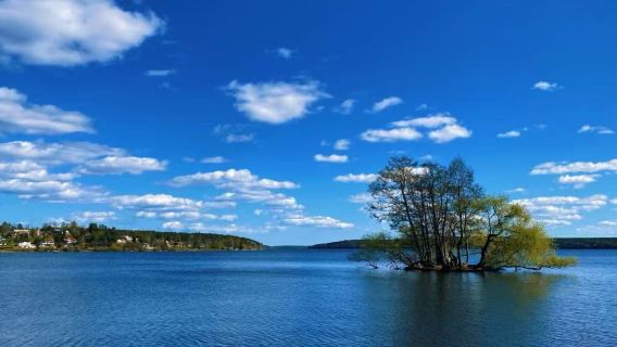 瑞典斯德哥爾摩烏普薩拉+西格圖納一日遊【私家包車+歐洲定制】