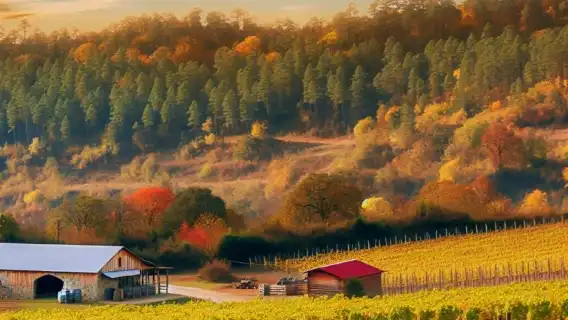 Kakheti Wine 1-day Tour|Wine tasting + monastery + Sighnaghi old town