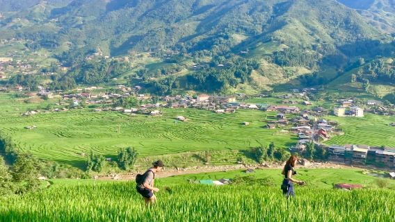 Voyage de trekking à Sa Pa : paysages en terrasses et villages ethniques