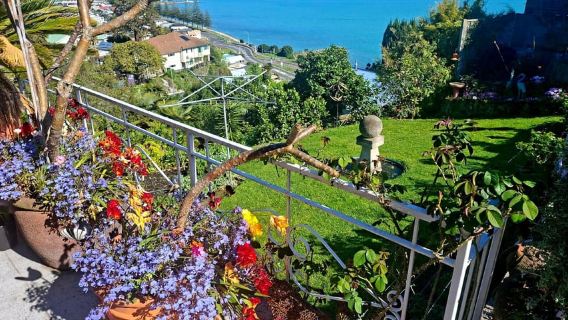 Napier: Art-Deco + Te Mata Peak + passeggiata nel giardino + degustazione di vini