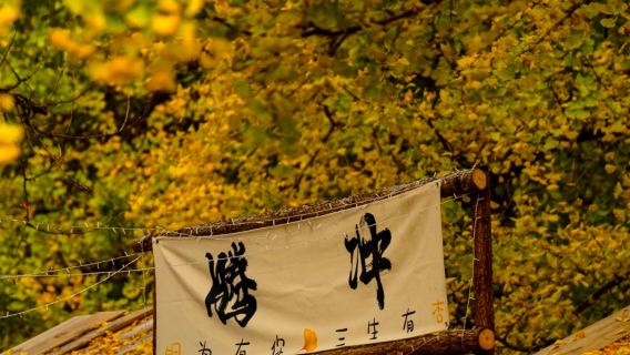 雲峰山+銀杏村一日遊